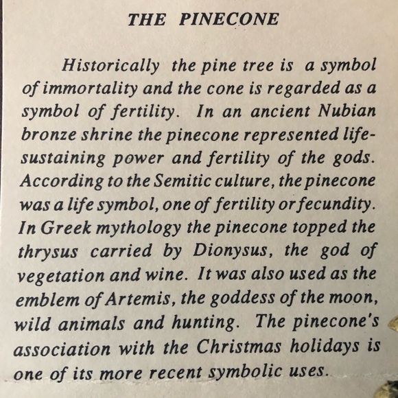 A real pinecone made from bronze using “lost wax” casting process - Picture 6 of 14